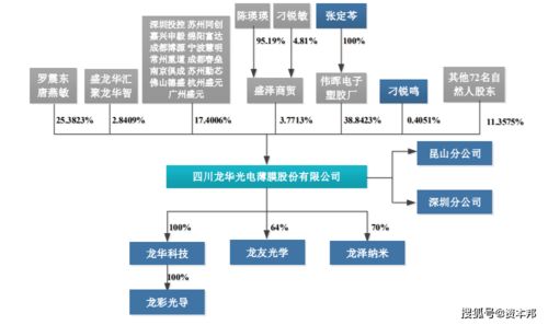 龍華薄膜 新三板退市轉(zhuǎn)戰(zhàn)創(chuàng)業(yè)板，技術(shù)短板與會計隱憂成挑戰(zhàn)